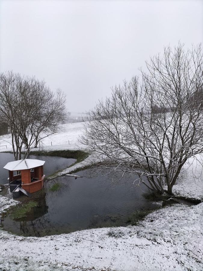 Gite Du Cheval Blanc A Houmont Sainte-Ode Kültér fotó